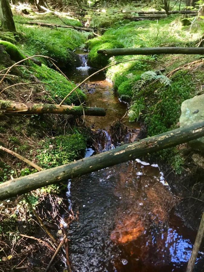 Ferienwohnung Gipfelnest Braunlage Zewnętrze zdjęcie